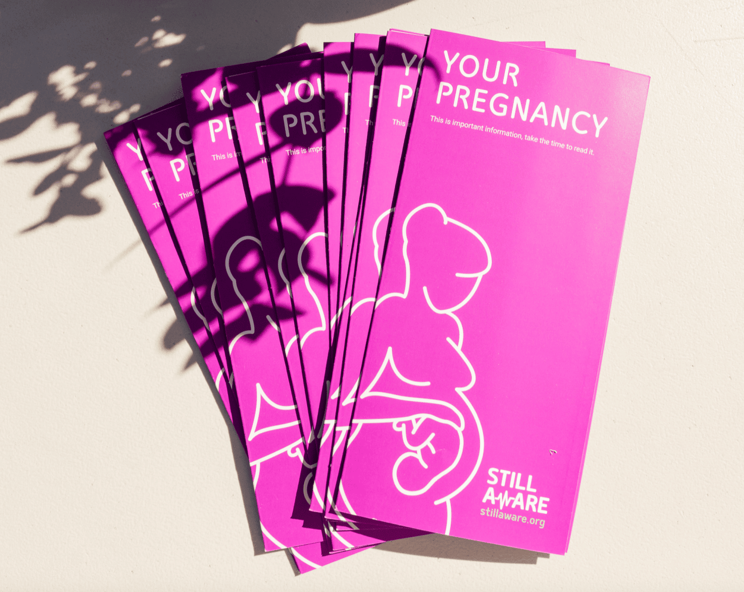 Safer Pregnancy Pack